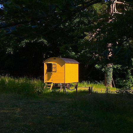 Blackstairs Shepherds Huts Killedmond Bagian luar foto