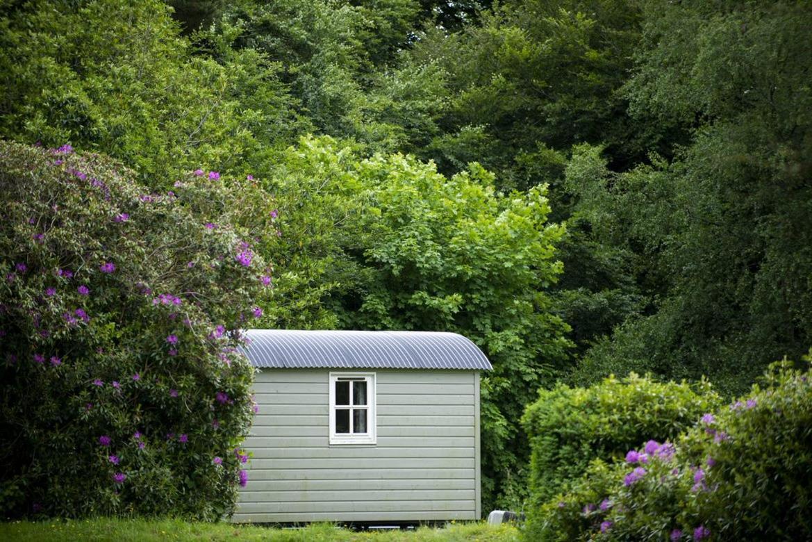 Blackstairs Shepherds Huts Killedmond Bagian luar foto