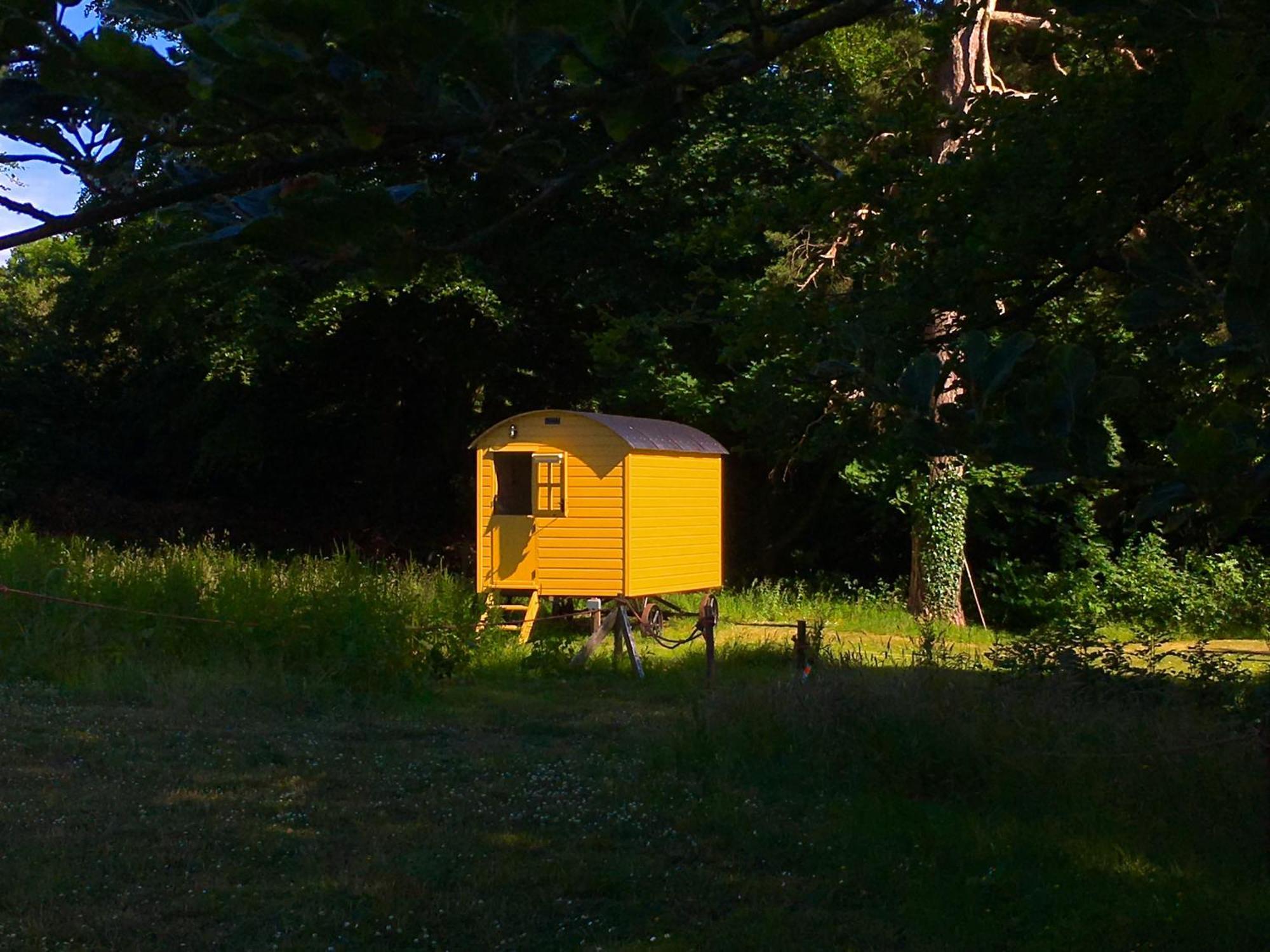 Blackstairs Shepherds Huts Killedmond Bagian luar foto