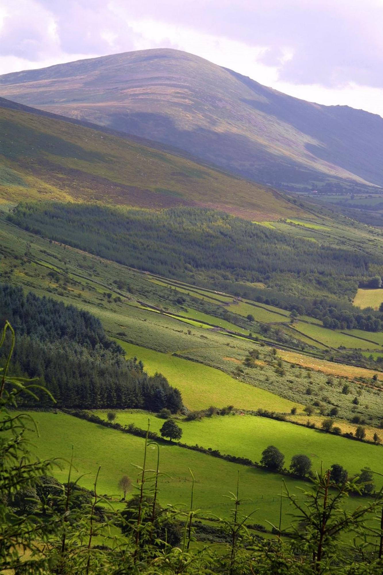 Blackstairs Shepherds Huts Killedmond Bagian luar foto