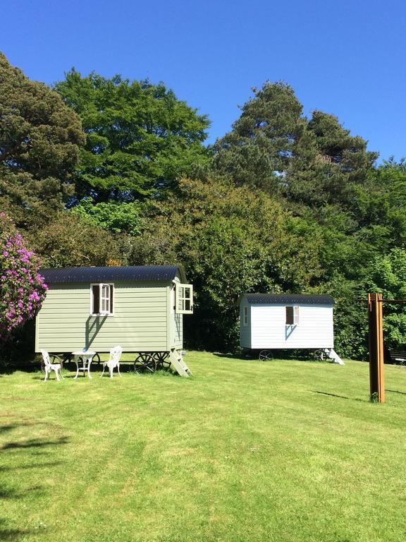 Blackstairs Shepherds Huts Killedmond Bagian luar foto