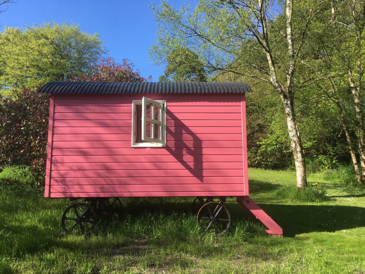 Blackstairs Shepherds Huts Killedmond Bagian luar foto