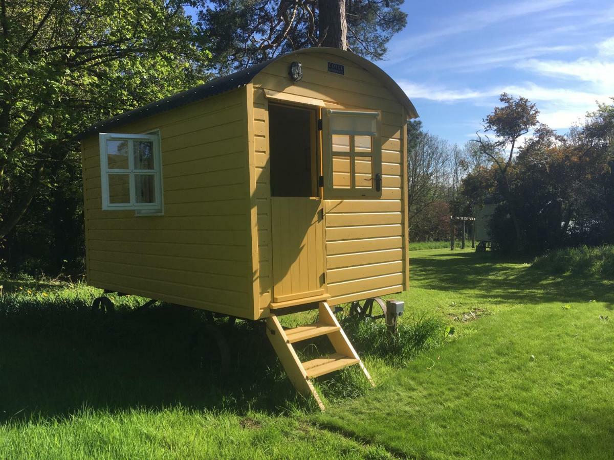 Blackstairs Shepherds Huts Killedmond Bagian luar foto